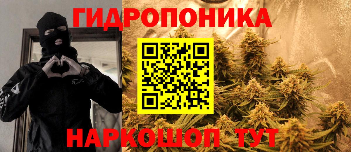 МАРИХУАНА Ganja  Марихуана Amnesia  Каннабис Amnesia  Менделеевск  Вход с VPN 